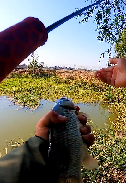 微软|胴调、本调、先调,关于调性的钓鱼理论您真的懂么?