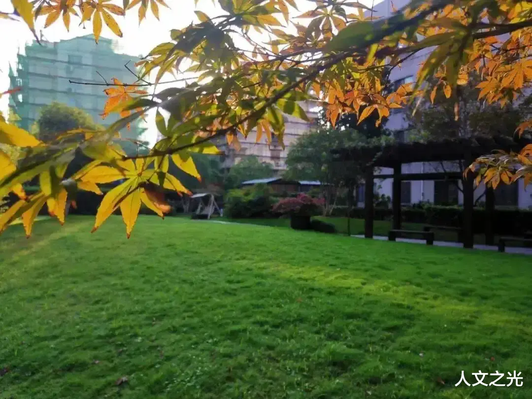 职业教育|教育竞争激烈的解决之道：压缩普高招生人数，大力推广职业教育