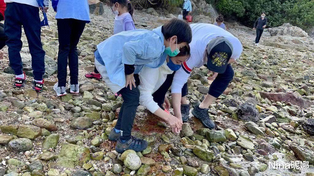 郭晶晶|郭晶晶带儿女赶海,穿白帽衫捡贝壳享受天伦之乐,2块钱发绳抢镜