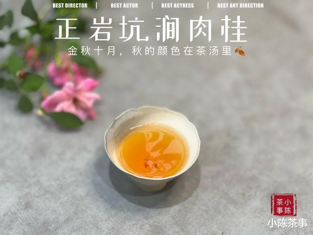武夷岩茶的皮相和精神内核，岩茶真的好喝就行，外表不重要吗？