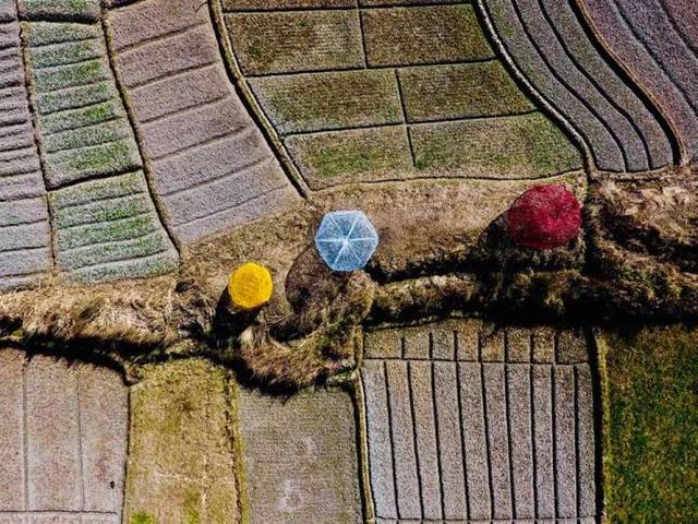 古镇|2022年了，还有人去古镇旅游吗？