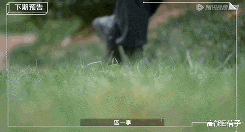 招聘|躺和卷,00后职场人怎么选?