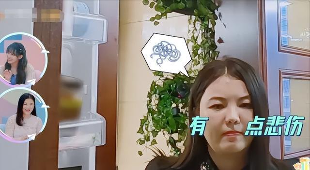 王岳伦|官宣离婚5个月后复合了？李湘王岳伦互动晒照，疑同居超过一个月