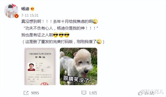 杨迪|杨迪走红，靠的是实力还是“后台”？