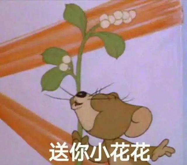 邓为|还没爆，直接就糊了！