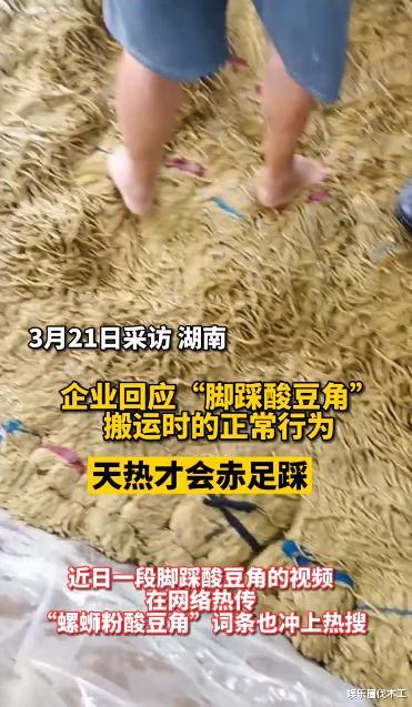 李子柒|5335.4粉丝的网红李子柒翻车?网友:比明星塌房可怕