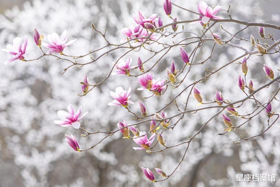 摩羯座|七月事业榜前五的星座，或有精彩表现，月末有望收获颇丰