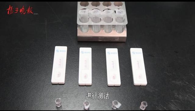 黑木耳|黑木耳泡多久会变成“毒木耳”?我们用实验告诉你