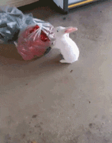 来这家饭店吃烤全羊，才15块一只！当菜端上来时我蒙了...哈哈哈