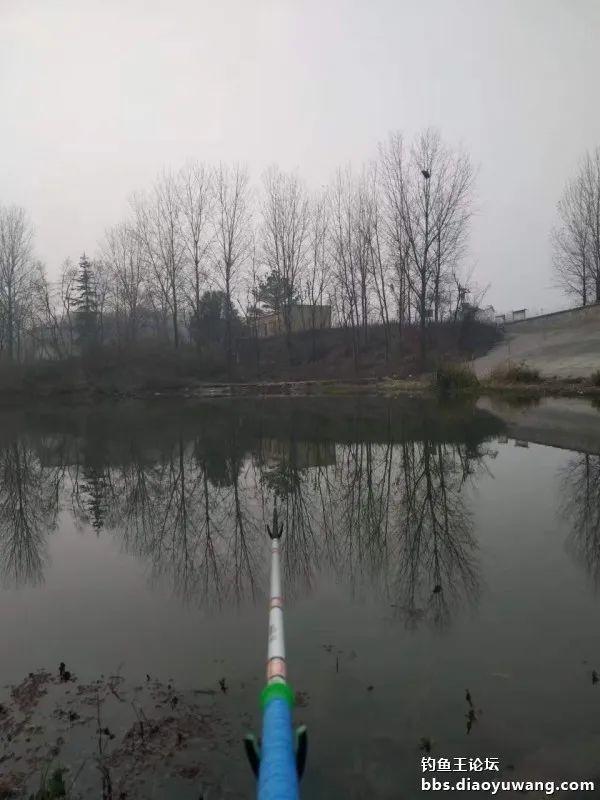 钓鱼|冬夜独钓,鱼口暴躁!