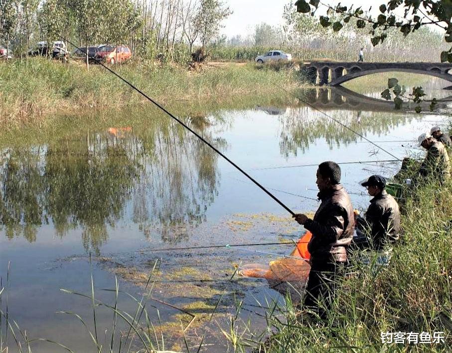 泥鳅|为什么水里有很多的鱼却不咬钩?这些原因没搞懂,想钓到鱼不容易