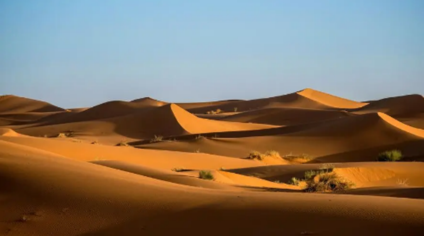 草原|能游泳、钓鱼的沙漠,你去过吗?降水堪比雨林,水比沙子多