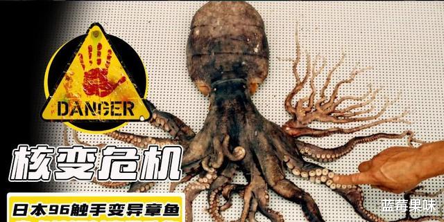能预测世界杯,还拥有再生能力,章鱼真的不是外星生物吗?