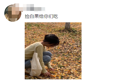 紧急提醒:最近杭州街头大量出现,千万别随意捡!有人一口气吃一斤,当晚送进ICU