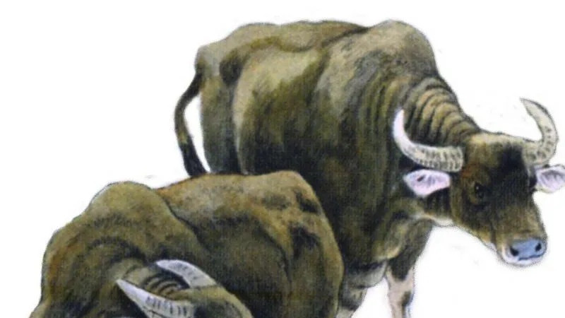 |九月底突破难关，烦心事减少，事业生活开始回暖，找回人生精彩意义的几大肖。