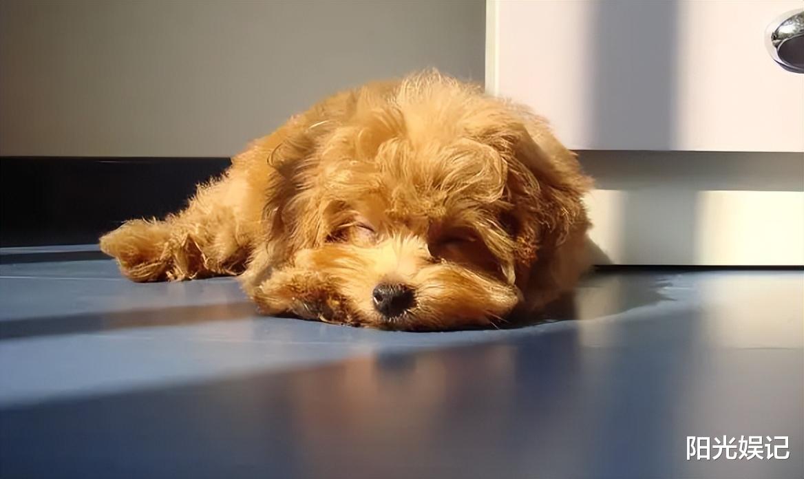 空腹|在生活中这6种情况下千万不能喝酒，醉得快还丢人，建议了解清楚