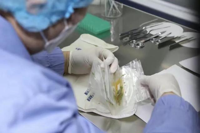 水稻、拟南芥、蔓越莓,神舟十四号为啥带它们回来?各有各的用处