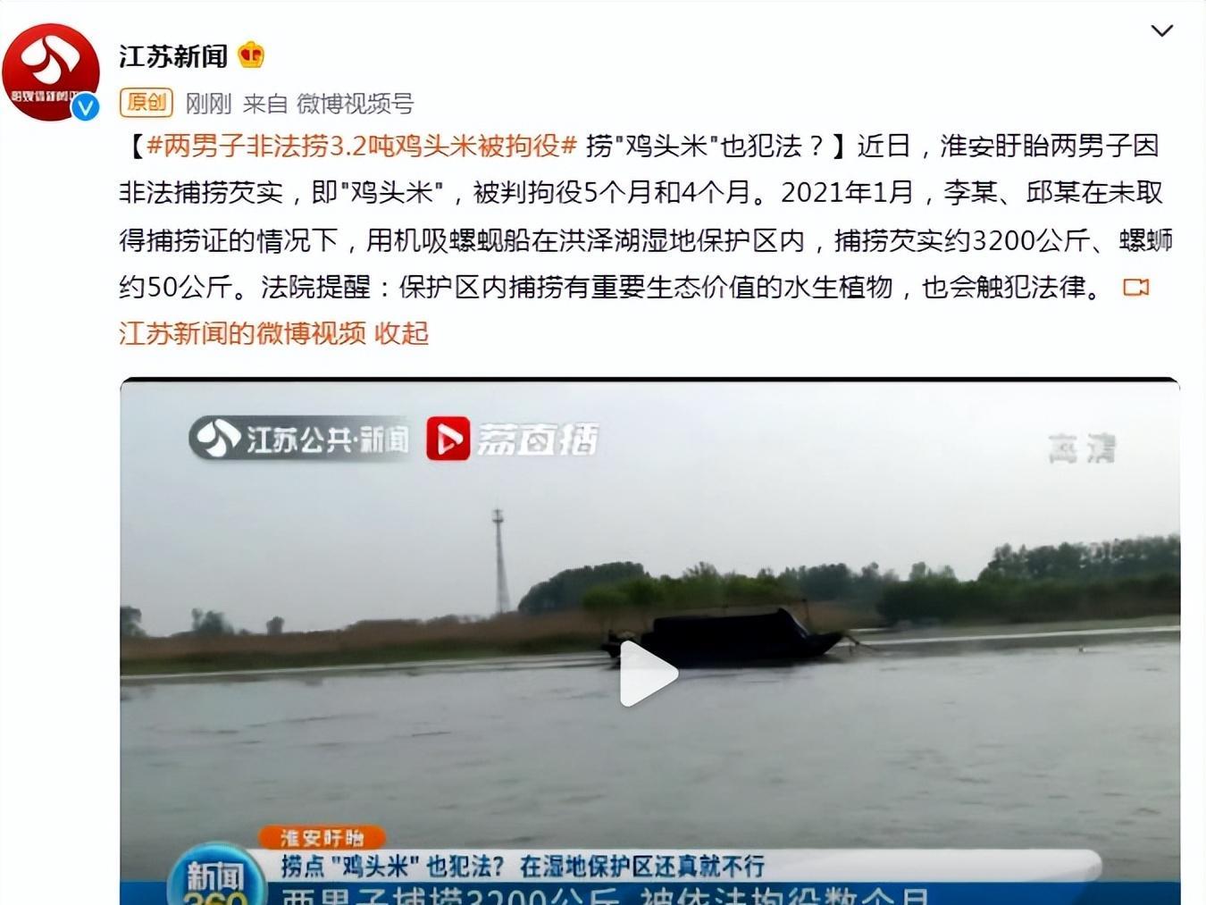 江苏两男子捕捞3.2吨“鸡头米”,钱没挣多少,却进了牢房
