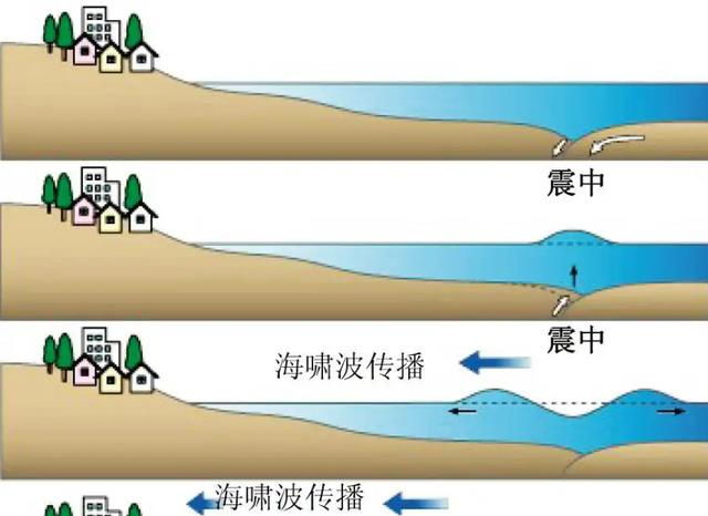 当海啸来袭，是跑向内陆好，还是迎面扎进水里好？