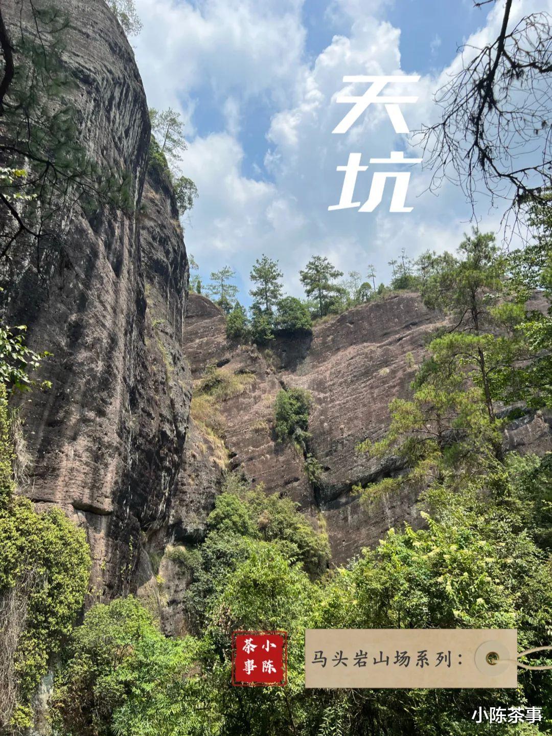 邮轮|开山坪、猫儿石、桃树窠，马头岩的山场究竟有哪几个？这是个谜团