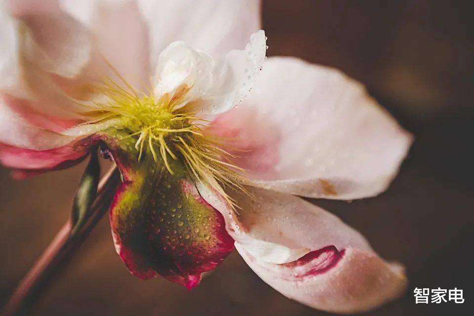 世界杯效应带动大屏电视热销，海信三星谁是大赢家？