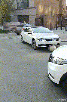 林志玲|这真的是林志玲吗？我怎么看着越来越像日本贵妇了？