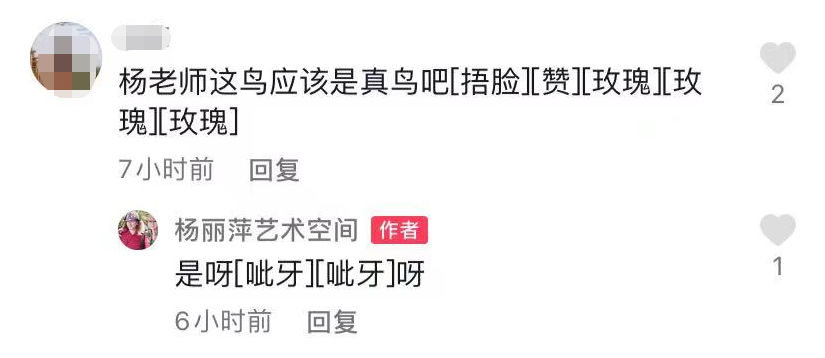 杨丽萍|63岁杨丽萍与友聚餐惹争议！脚踩座椅头顶小飞鸟，胸前大玉佩瞩目