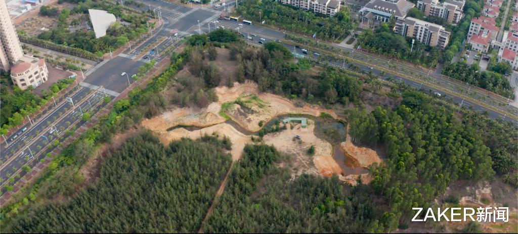 快手视频|你每天在蚂蚁森林积攒的能量，最后真的被用到了保护环境上吗？