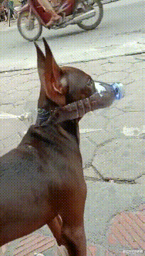 职业教育|“去领导办公室，看不懂的书法不要乱读，更不能笑！除非忍不住...”