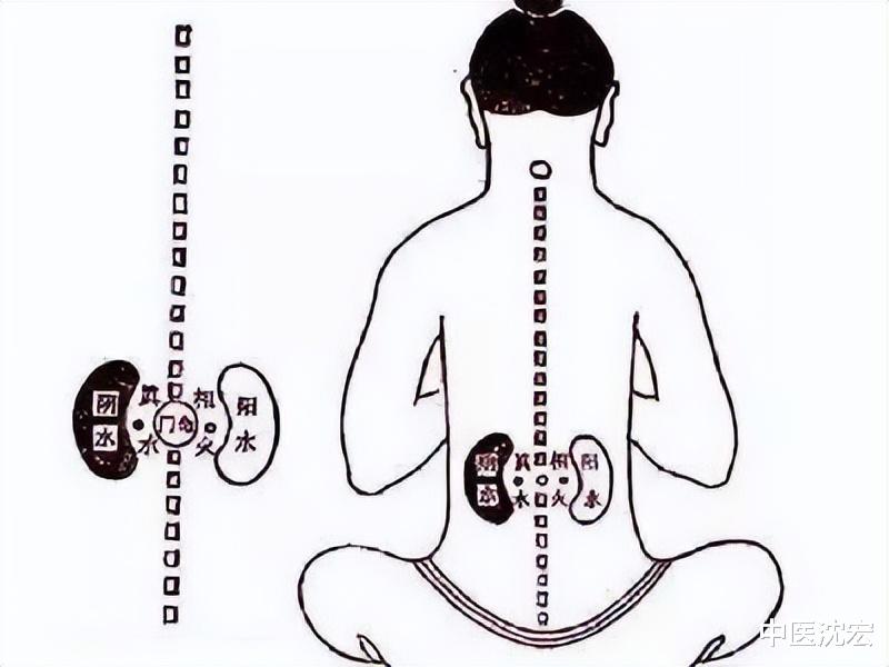 补肾|腰疼腿疼 多是肾虚 教你一个中成药 补肾强腰 向你的腰腿注入活力