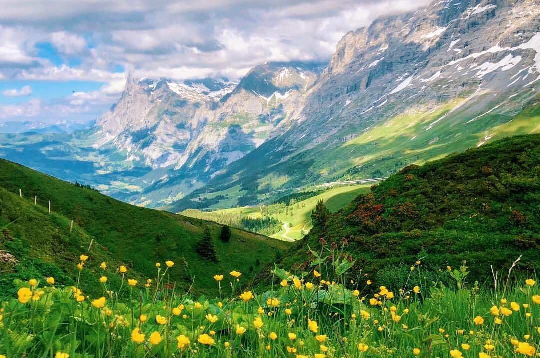 度假区|为什么瑞士禁止10点以后冲马桶?遇上内急咋办?你可以这样解决