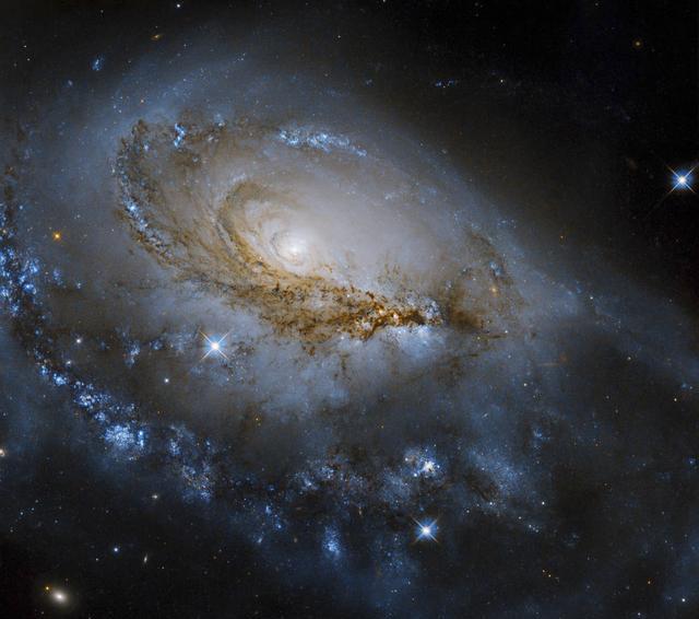 波兰科学家们利用银河系中米拉变星和造父变星确定了银河系的形状