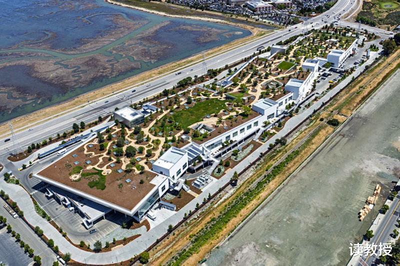 meta|“跌落神坛”的美国80后首富,短短一年,身家缩水超过5400亿元