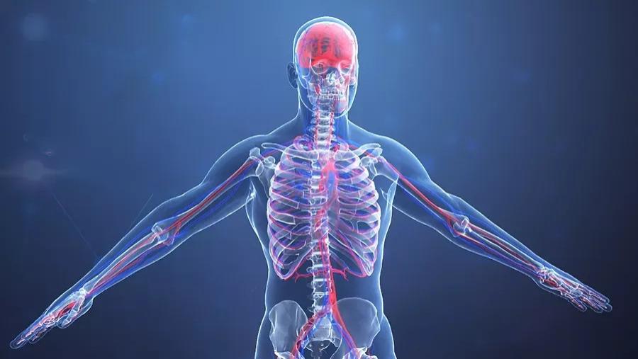 人在死亡前三分钟，身体会出现什么信号？科学家告诉你答案