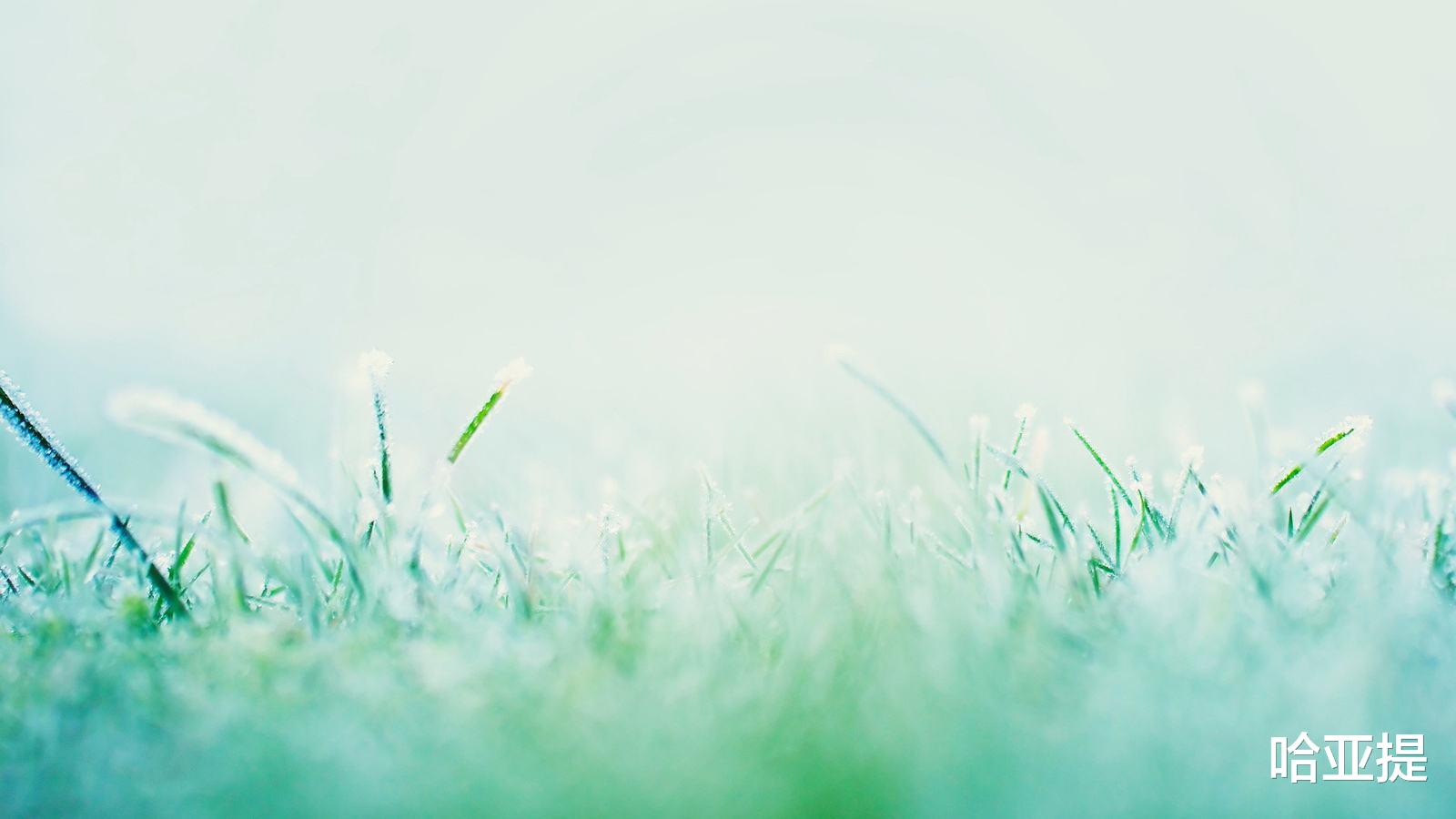 饵料|长大后，很多东西都物是人非了