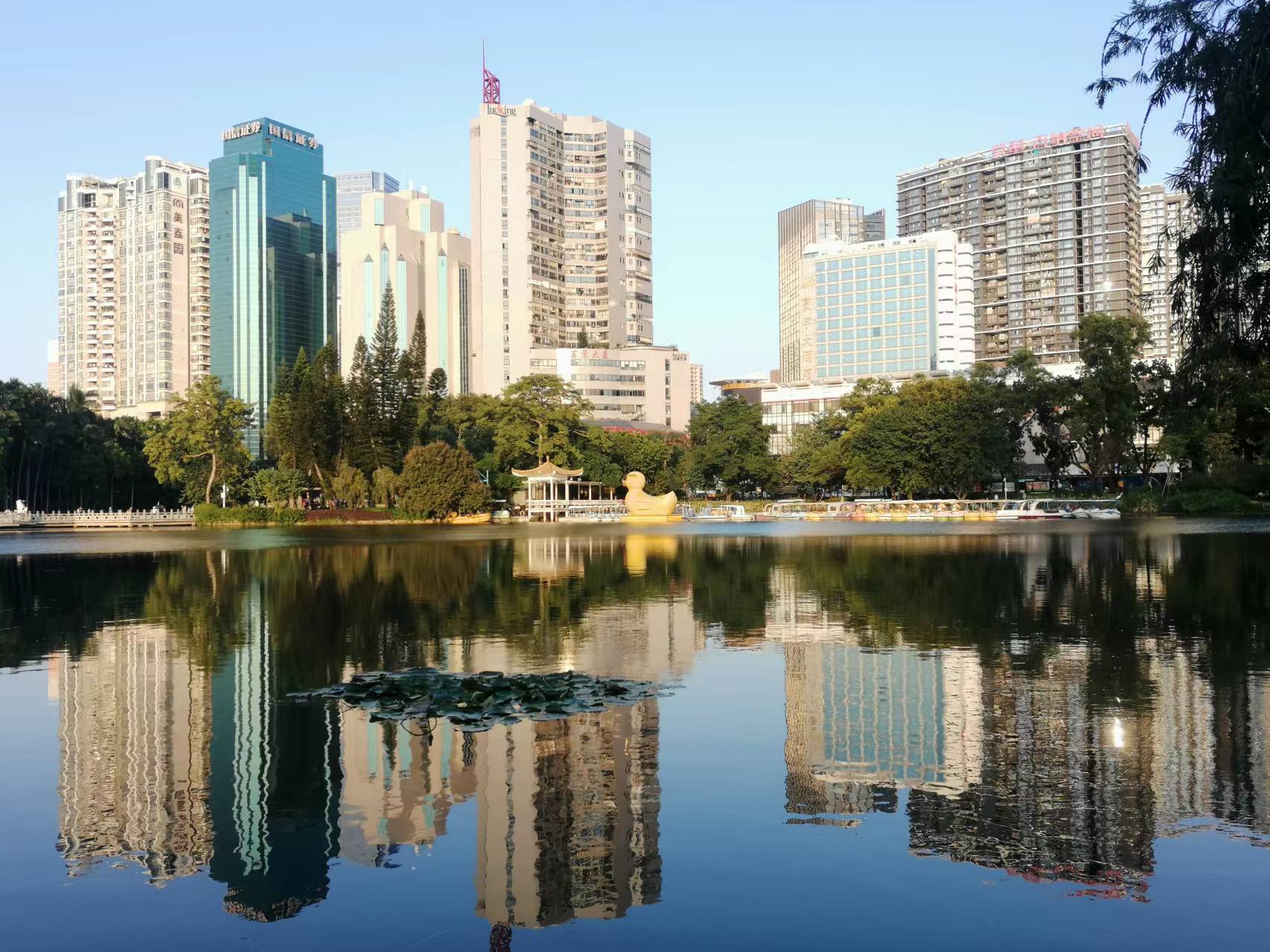 深圳市|年轻人找工作，千万别只看到了深圳的繁荣