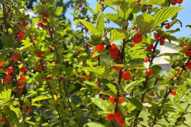 80后夫妻的“穷装”新家,引起强烈舒适感,越简约,越幸福