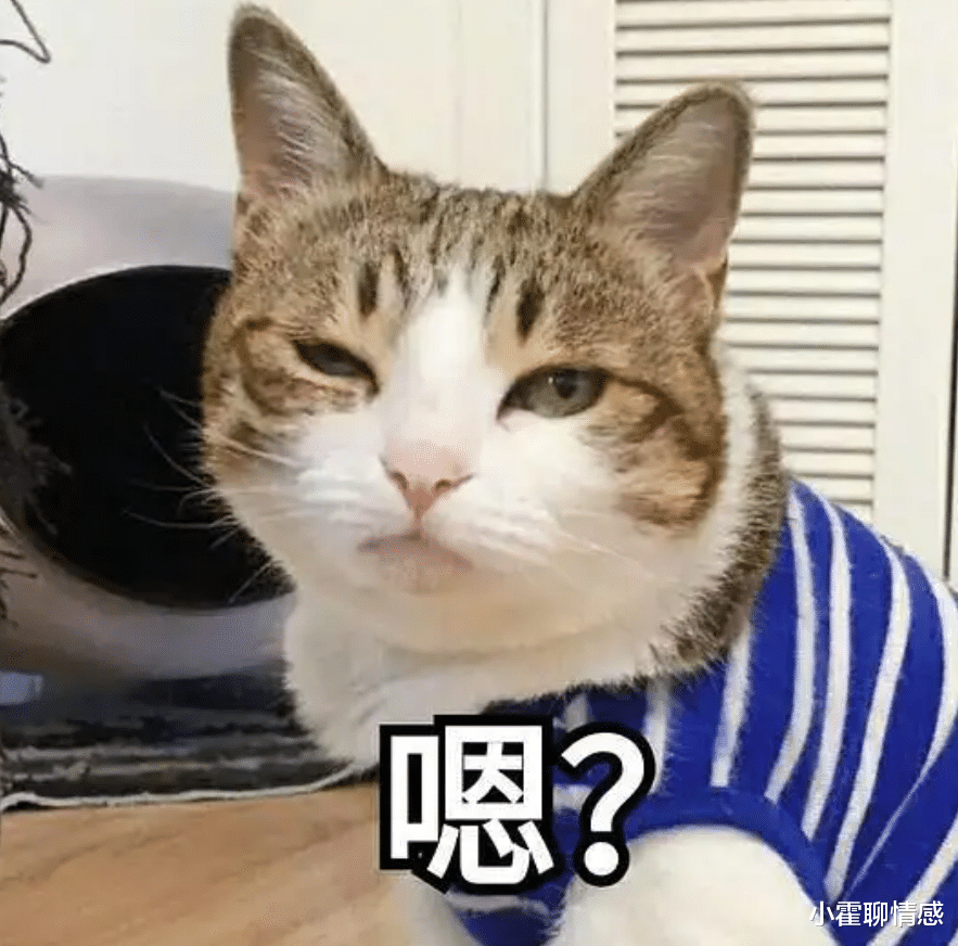 |顶流CP复合了？当初有多虐，现在就有多甜！