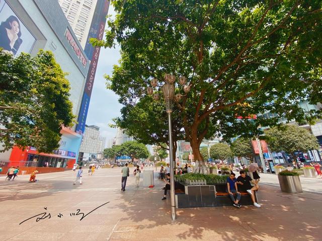 青岛市|中国“火炉城市”之首，夏天超40高温是常态，到了秋天依然酷热