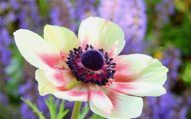 教师|九月开门接喜,阻碍减弱,事业顺利畅达,做啥都能赚的3大生肖!