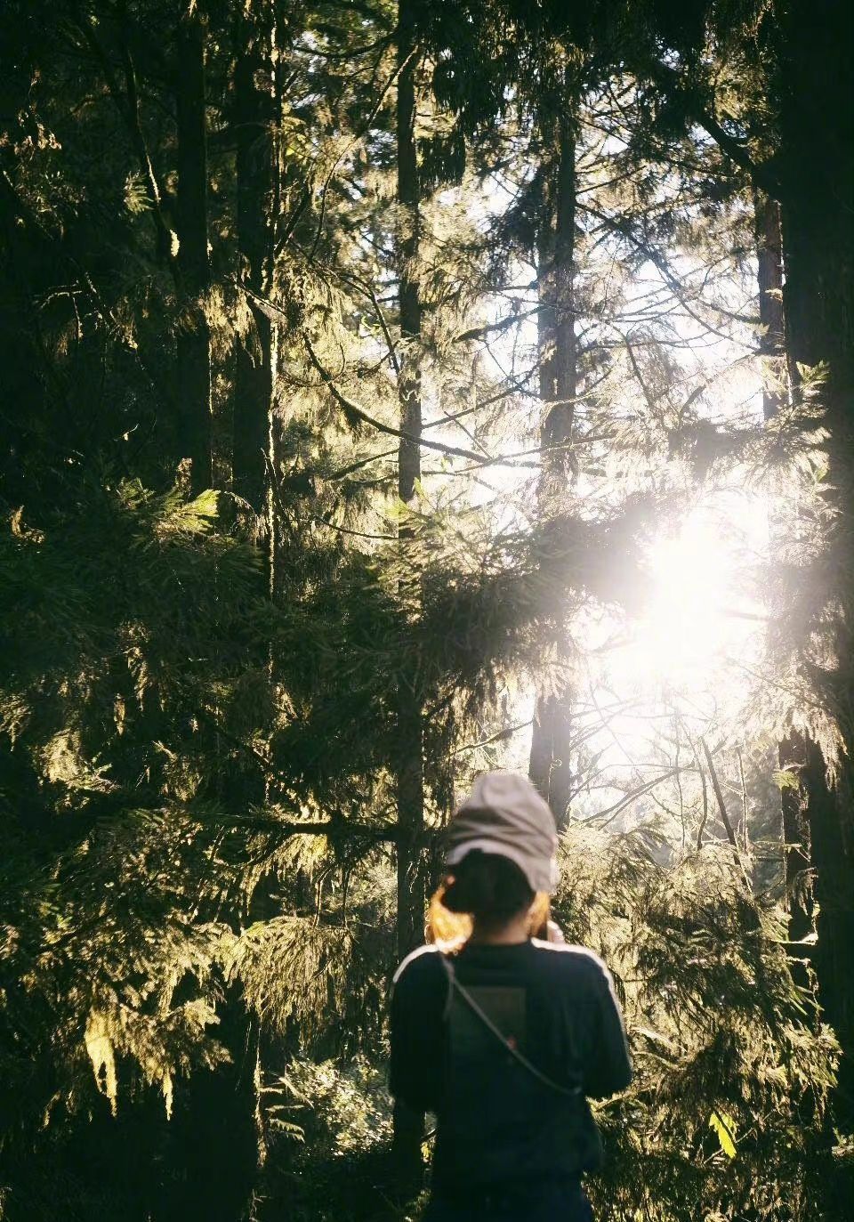 田馥甄|她成争议女星！众星转发“一个中国”，田馥甄却发文“扳回一城”