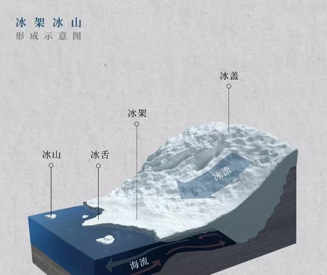 在南极冰层下,发现了“隐藏世界”!为何让科学家惊诧不已?