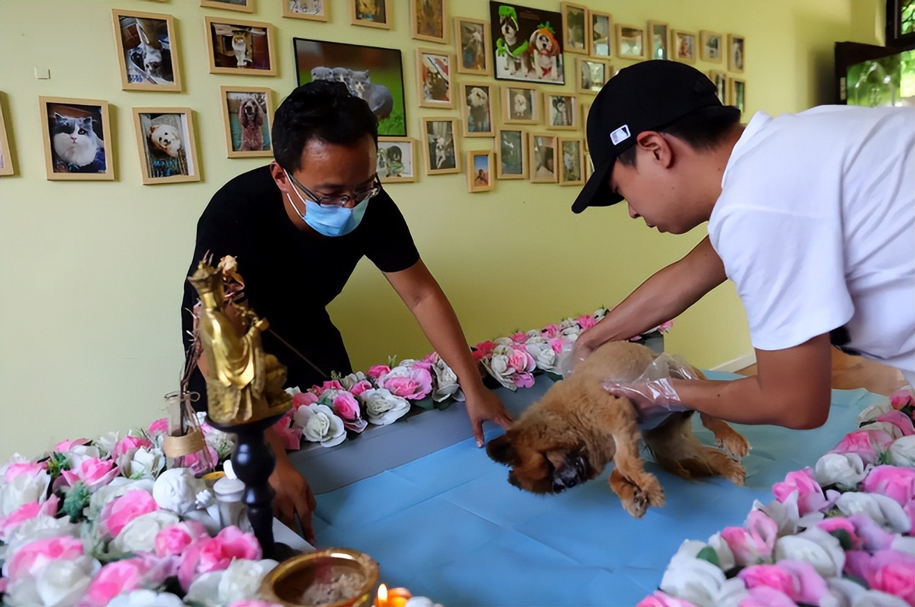 新型冠状肺炎|疫情之后涌现一批“新职业”,收入远超铁饭碗,但长辈们不能接受