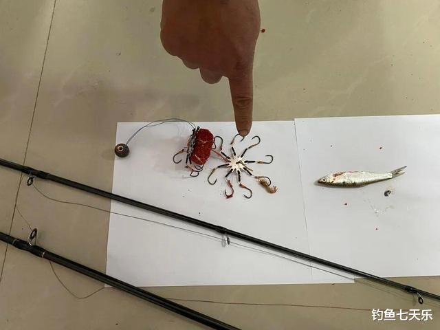 垂钓红线别乱碰!四川男子钓了条“指肚大”的小鱼,结果成了嫌犯