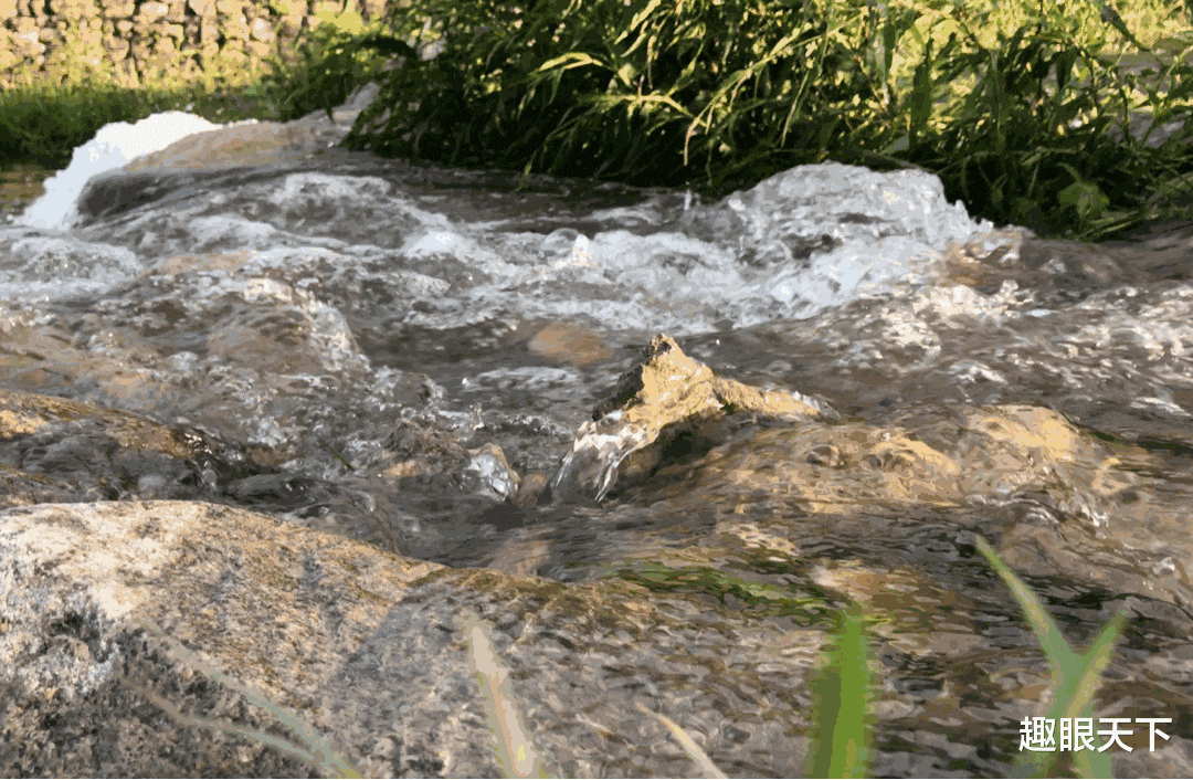 如果海洋中的水全是淡水,地球会发生什么?科学家:后果很可怕!