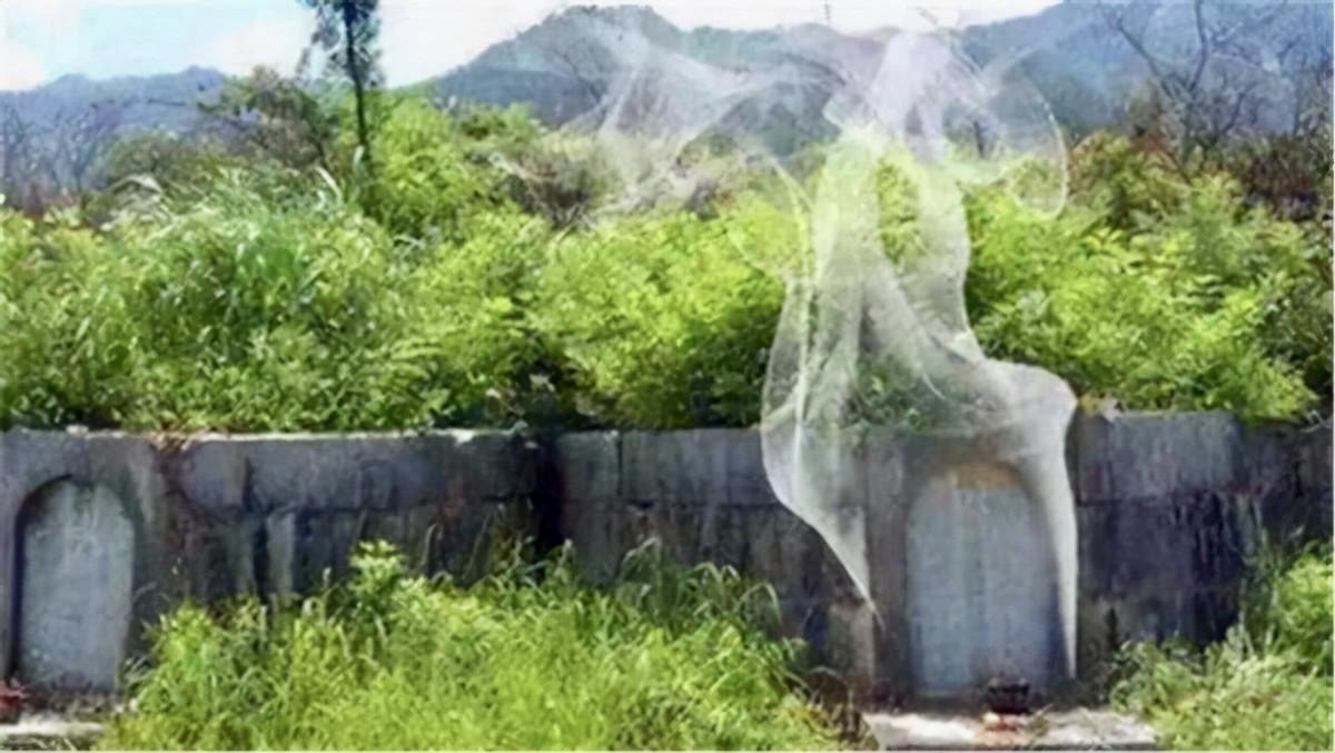 湖北老头发现自家祖坟冒青烟,选择报警,专家赶到后连忙挖开祖坟