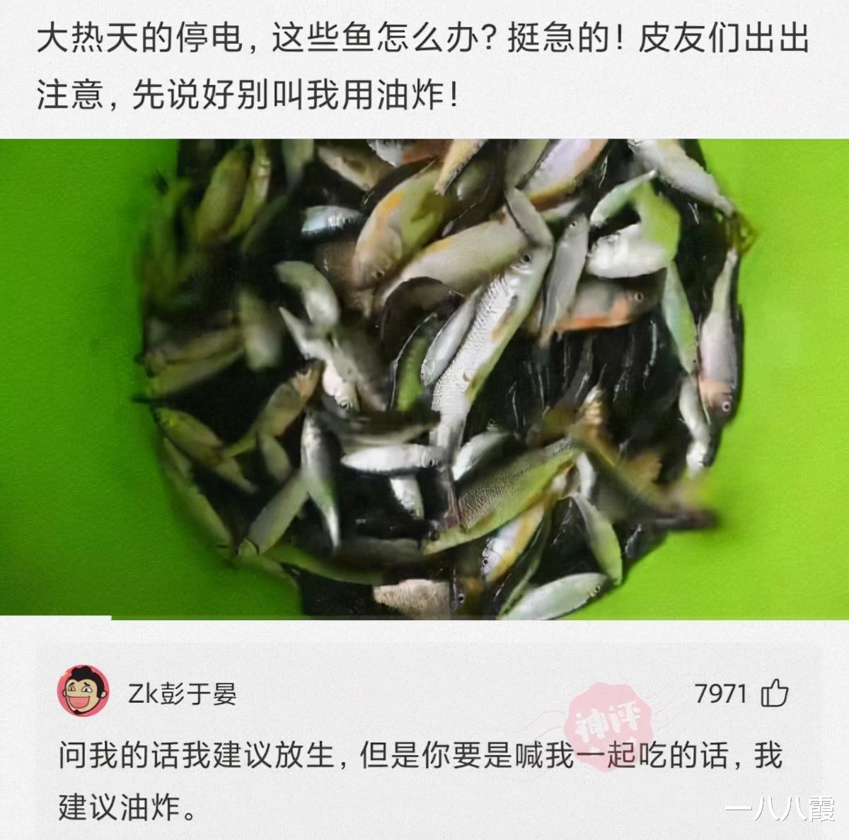 |“让一个动漫角色住在你家，你会选择谁？”网友的回复很真实！哈哈哈