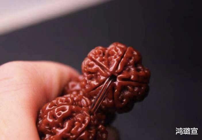 金刚菩提|文玩金刚菩提断齿很绝望?金刚菩提避免断齿全攻略!