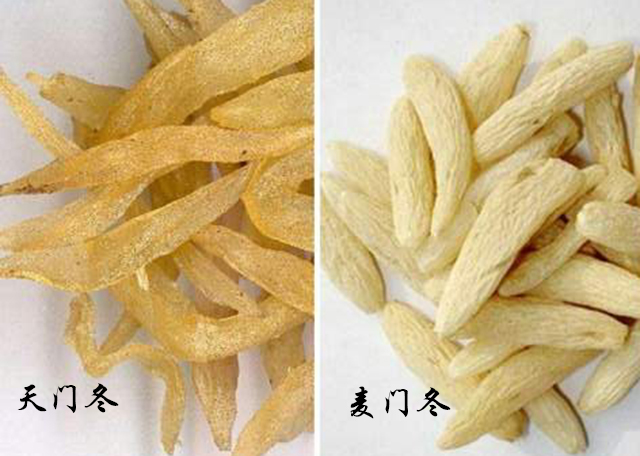 中药|走近中药:天门冬和麦门冬有哪些不同?