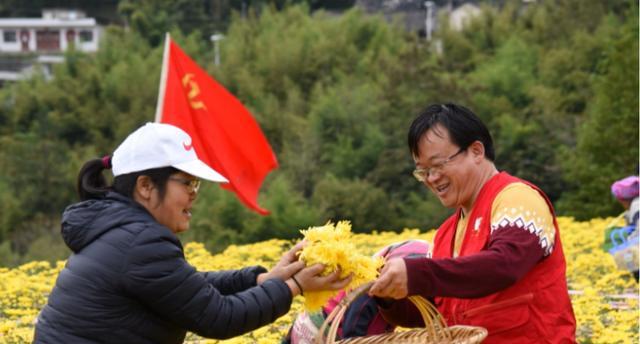 |89年生的高颜值副县长火了，有着非常优秀的履历，但网友却冷嘲
